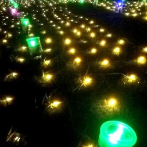 光の絆、イルミネーション