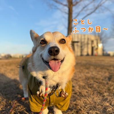 おさんぽたのしぃ。