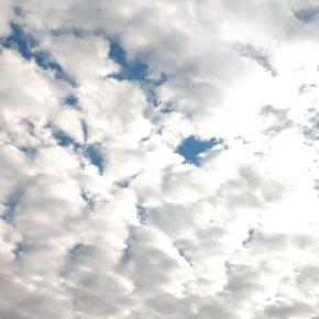 お出かけ先の風景も…いつの間にか、冬色に…