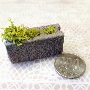 セリアのミニチュアブロックとコラボ…カモミール〜♬