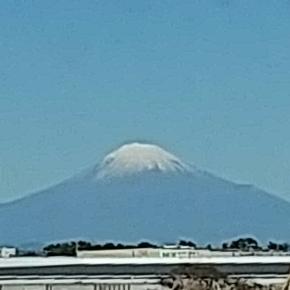 インド刺繍リボン