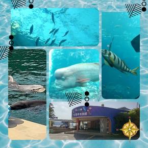 下田海中水族館♪