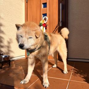 2026 あけましておめでとうございます