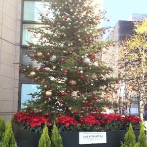 ★日比谷、丸の内のクリスマスツリー（ペニンシュラ）