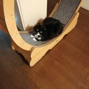 座るだけでもお気に入りホイール（と）2011年のくつした