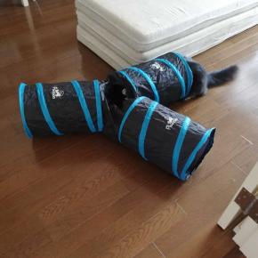 ひさしぶりトンネル（動画つき）（と）1007日目の2歳くーちゃん（と）2009年の晩飯くつした