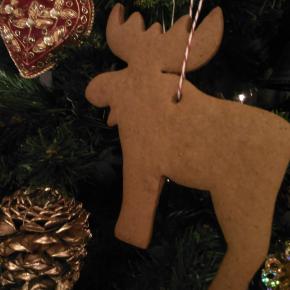 【12/11（木）のラインナップ】