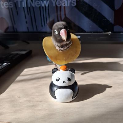 2026年始まりました。