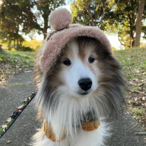 ポロたんとペアルック？