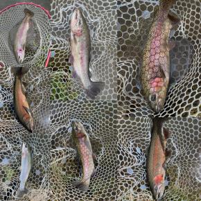 村田基さんに質問してみた