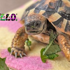 色んな野菜を食べたね