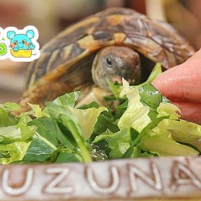 甘えん坊なところがかわいいなぁ～