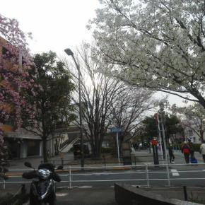 うれしいな♪ ぽっちゃり婚活