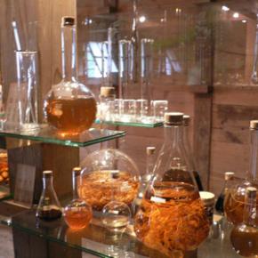 大地の芸術祭・不老不死の薬と収穫の家