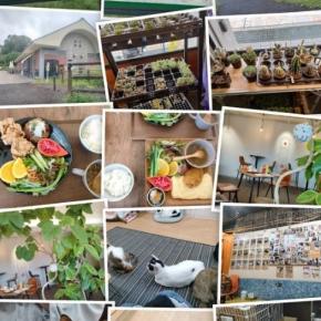 アラ古稀舞婆の2025年春～秋？（10月）の思い出を振り返るΣ（ノ∀｀＊）ペチョン