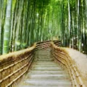 暑い京都 嵐山はすごい人です