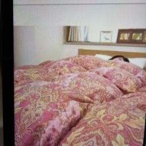 夜になると夏布団寒いやっぱり羽毛布団ださないと