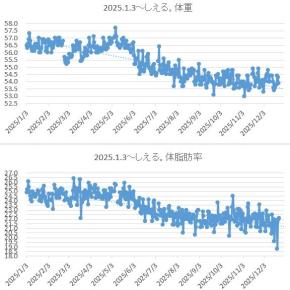 2025.12.23 2025年の一年間の体重体脂肪の推移のまとめ…な件。