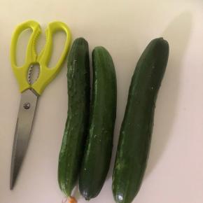 プランター菜園