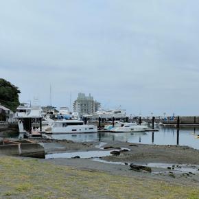 横須賀市芦名まで出かけました