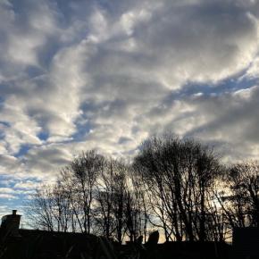 絶品ローストビーフ！の後、風邪で高熱ダウンのX君