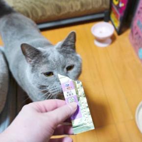 一生懸命なときは…