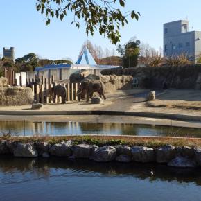 あえて踏み込んだベネズエラ大統領夫妻拘束。対露政策？