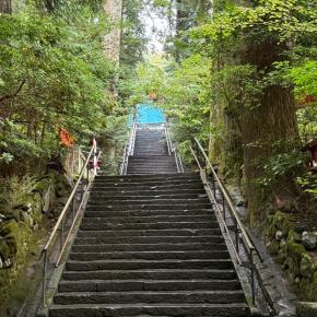雨の中、箱根神社へ月参りに行きました！