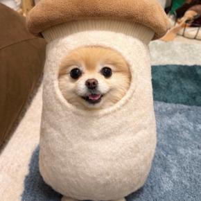 NISAのつみたて枠を18歳未満に解禁する意味とは