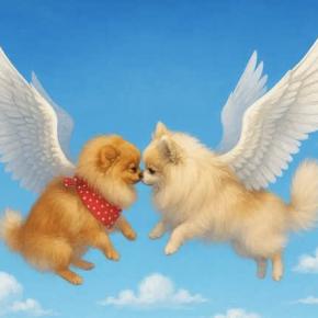 今日の天使の愛犬「ラブ」9/4