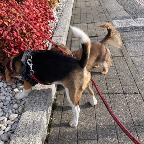 浮気封印 ＆切羽詰まって観念