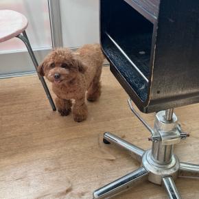 1月2日(木) Hotel午後