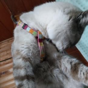 あれっ？これ美味しいつまみ❤