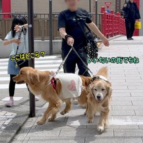 ちゃんぽんとカステラを求めて💗