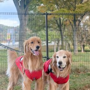 松本へGOでち🚙