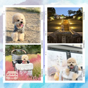 初めての群馬旅行☆