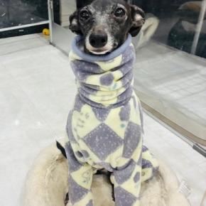 ロングネックのロンパース