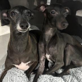 すず音ちゃん8ヶ月