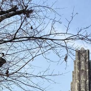 神話の里、宮崎を散歩する① 平和台