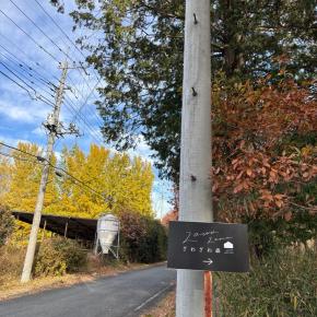 ざわざわの森キャンプ場