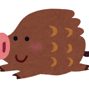 わ、イノシシおるやん・・