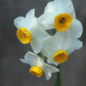 機械は苦手なんだろなぁ