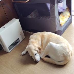 まだ、寒いよ・・・