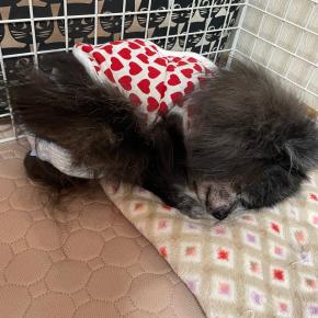 今日も元気で過ごせました。