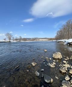 2025年を振り返る・・・