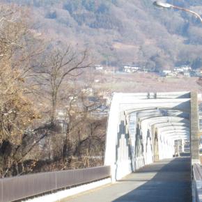 昭和橋横のくるみの木が伐採されました