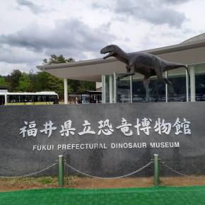 福井県立恐竜博物館…行って来ました～
