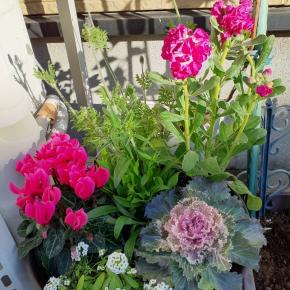 最近のあれこれ…