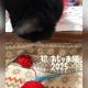 おじゃま猫さん2025