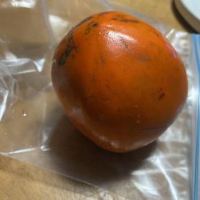 エタノールで柿の渋抜き・・結果報告